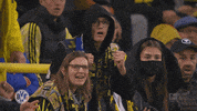 Borussia Dortmund GIF