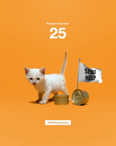 best friends help GIF by Best Friends Animal Society