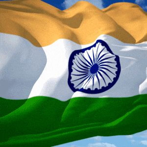 Indian Independence Day GIF by FirstCry Parenting