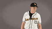 Cal State La Baseball GIF by Cal State LA Golden Eagles