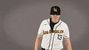 Cal State La Baseball GIF by Cal State LA Golden Eagles