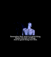 shawshank redemption film GIF