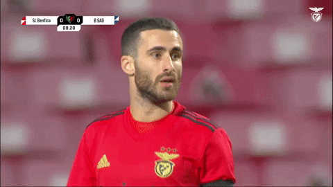 Sl Benfica Thumbs Up GIF by Sport Lisboa e Benfica