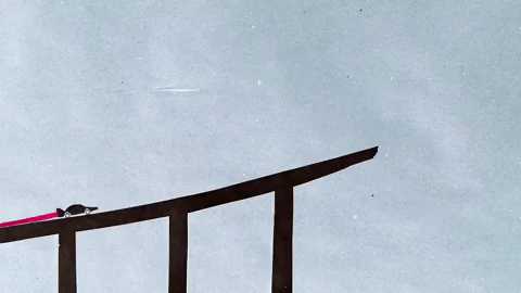 see saw erik winkowski GIF by Vimeo