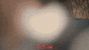 xplususeries 프래자일 GIF