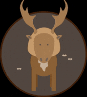 dinzodoodles bored wild deer dirty GIF