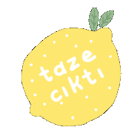 Limon Yeni Post Sticker