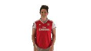 Arsenal Women Thumbs Up Sticker by Barclays FAWSL