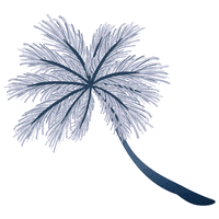 Summer Palm GIF by gruppemarx