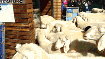 walking apple GIF by Cheezburger