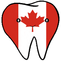 Flag Smile Sticker