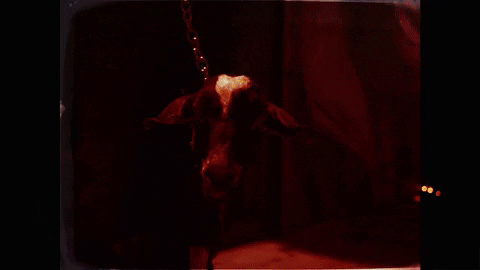 Sheff G GIF by Winners Circle