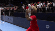Ehfeuro GIF by EHF