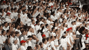 excited cincinnati bearcats GIF by University of Cincinnati Athletics