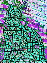 cats internet GIF by PEEKASSO