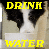 Melting Drink Water GIF by Sealed With A GIF