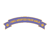 awlqld adopt dont shop awl adopted dog adopted cat Sticker