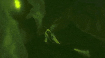 boydestroy psychotic boy destroy boydestroy GIF
