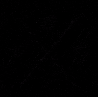 prestigedetailing detailing pdm prestige detailing GIF