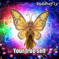 Joy Love GIF by BuddhaFlyJourney