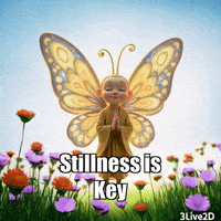 GIF by BuddhaFlyJourney