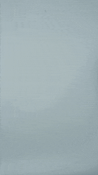 Womens Champions League Hello GIF by UEFA