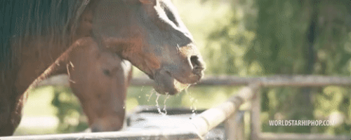 get right witcha GIF by Worldstar Hip Hop