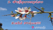 Kalo Mina GIF by Vimodji