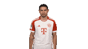 Bayern Munich Football Sticker by Bundesliga