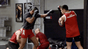 the ultimate fighter episode 3 GIF