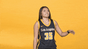 Division Ii Sport GIF by Cal State LA Golden Eagles