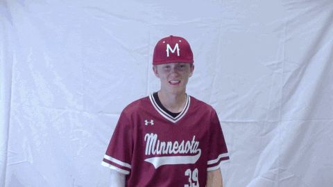 MNMASH giphyupload no baseball wink GIF