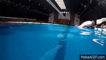 skillsnt giphyupload GIF