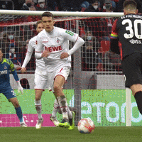 Save 1 Fc Cologne GIF by 1. FC Köln