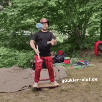 Juggling Jester GIF by Gaukler Olaf