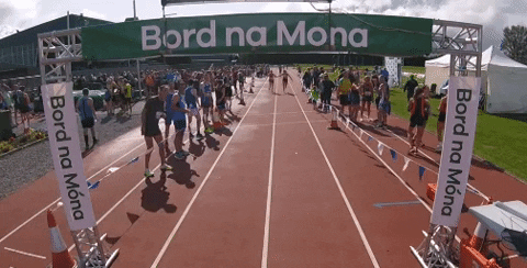 stablenews giphygifmaker GIF