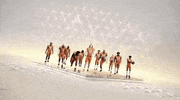 tigers clemson GIF by ESPN