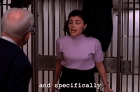 Season 2 Episode 22 GIF by Twin Peaks on Showtime