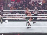 triple h wrestling GIF by WWE
