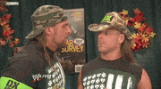 triple h wrestling GIF by WWE