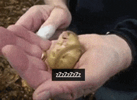 sound snoring GIF