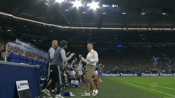 Happy Football GIF by FC Schalke 04