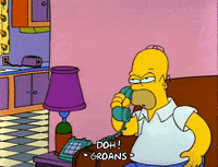 Season 2 GIF by The Simpsons