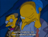 season 3 homer GIF