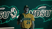 Ndsu Baseball GIF by NDSU Athletics