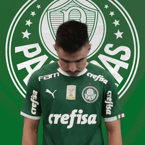 Palmeiras giphyupload soccer look futebol GIF