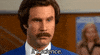 ron burgundy anchorman GIF