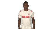 Come On Wtf Sticker by Bundesliga