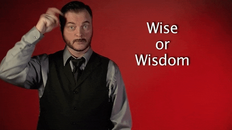 sign language wise or wisdom GIF by Sign with Robert