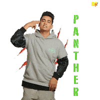Hustle Panther Sticker by MTV India
